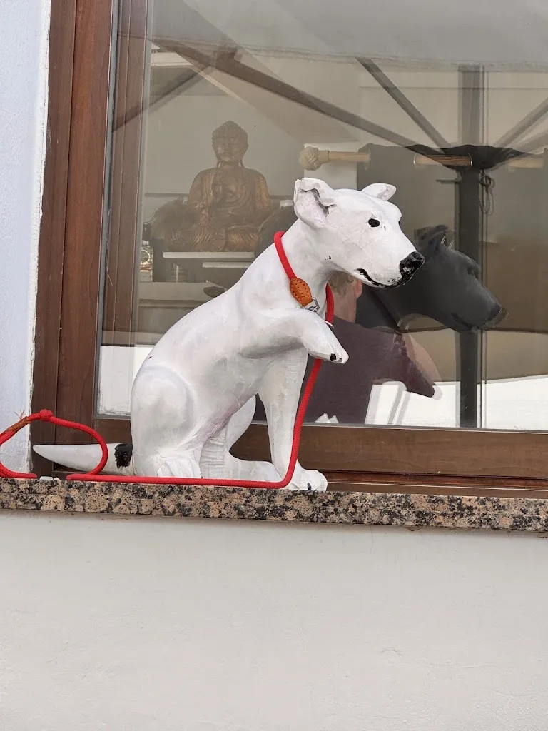 貝瑞克（Markpigpapa）_Susi GastroTapas Beach House_Manilva_review