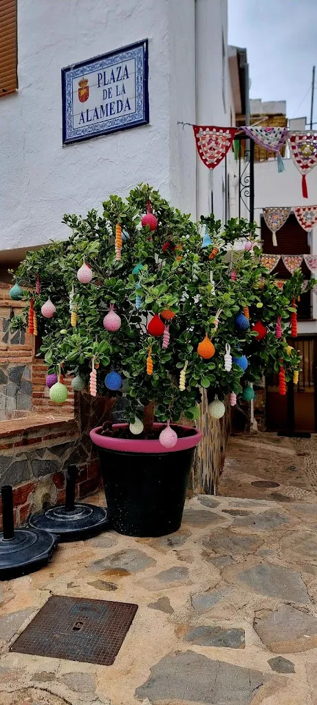 Bar Alameda_Pujerra_slider_image_2