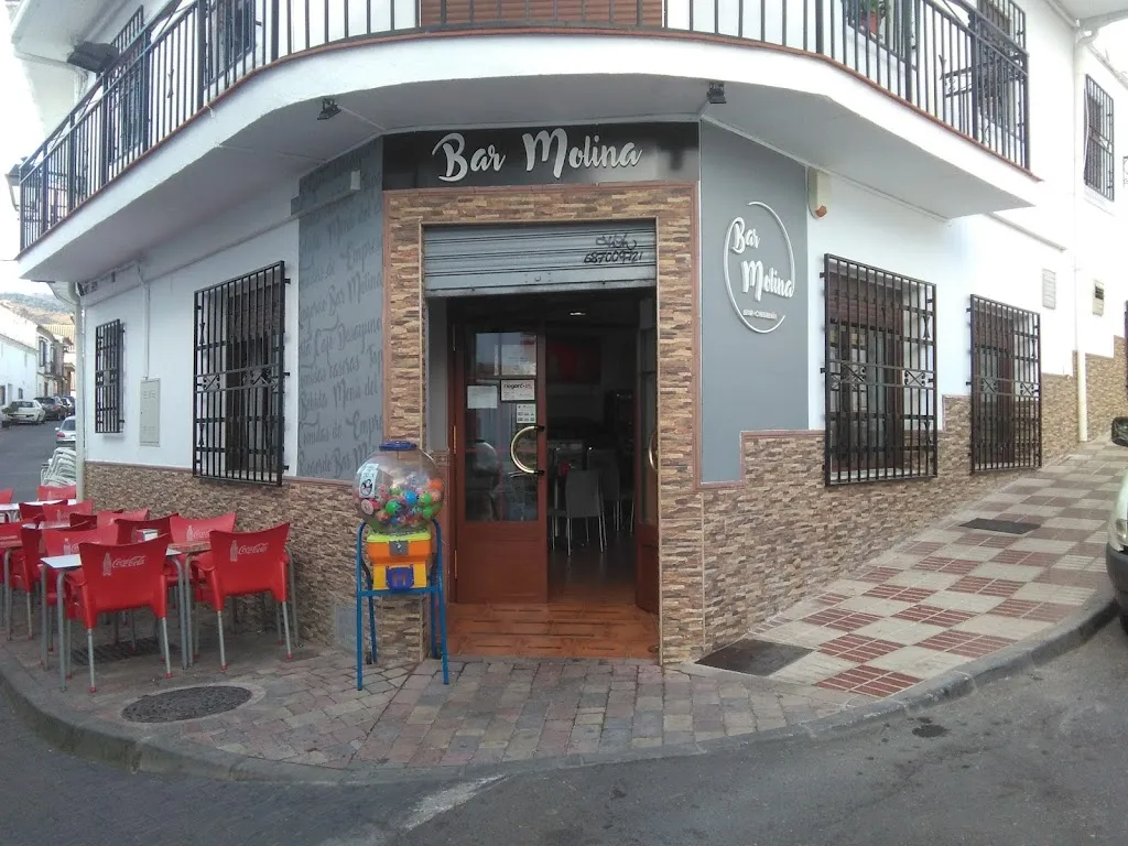 BAR MOLINA restaurant in Ríogordo