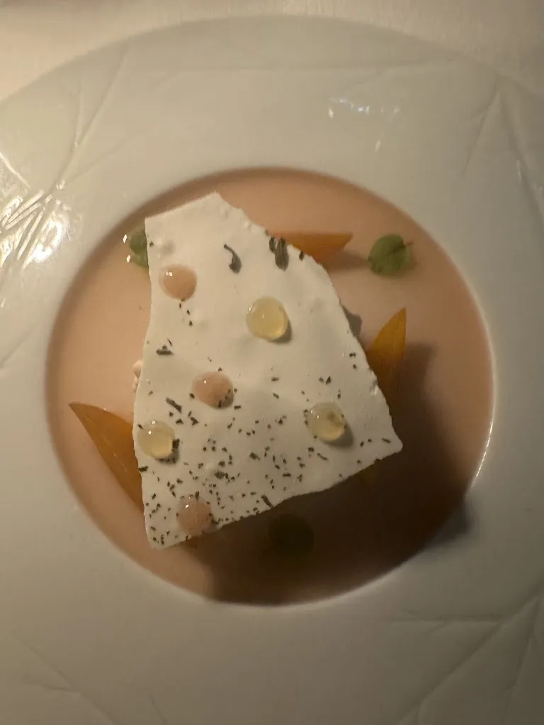 Tamara alabbadi_Beluga - Mediterranean Restaurant_Málaga_review