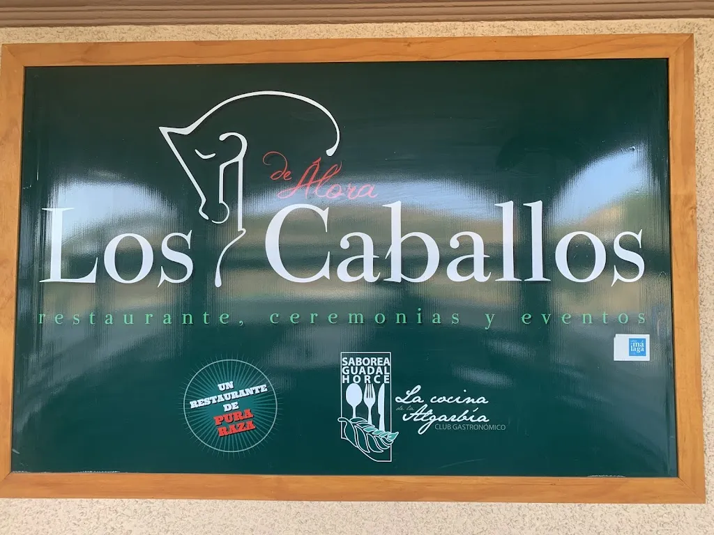 eerohei_Restaurante Los Caballos_Pizarra_review