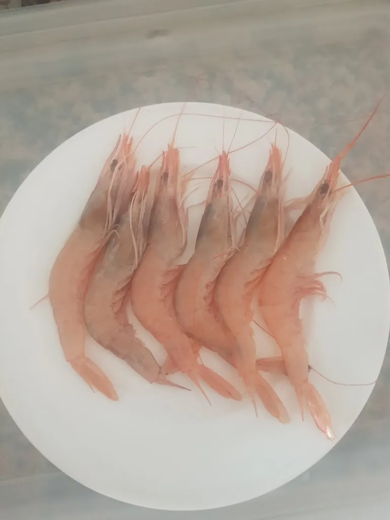 Cafe Bar Reondón_Valle de Abdalajís_slider_image_3