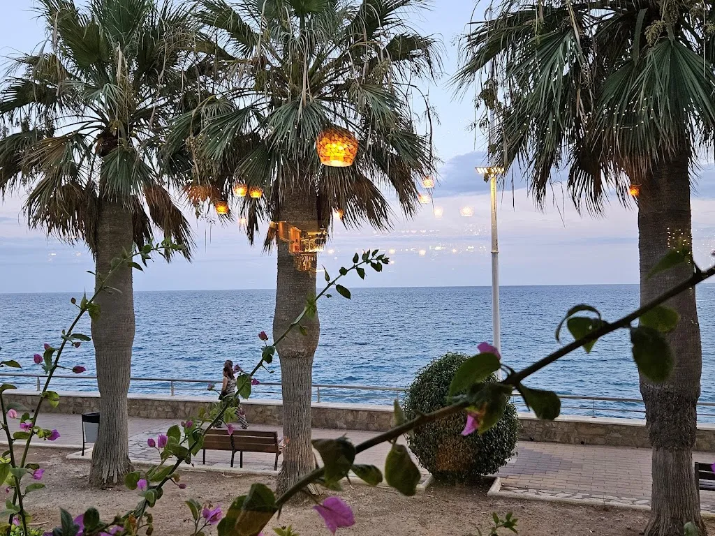 Zarko Mijailovic_Restaurant Bamboo_Nerja_review