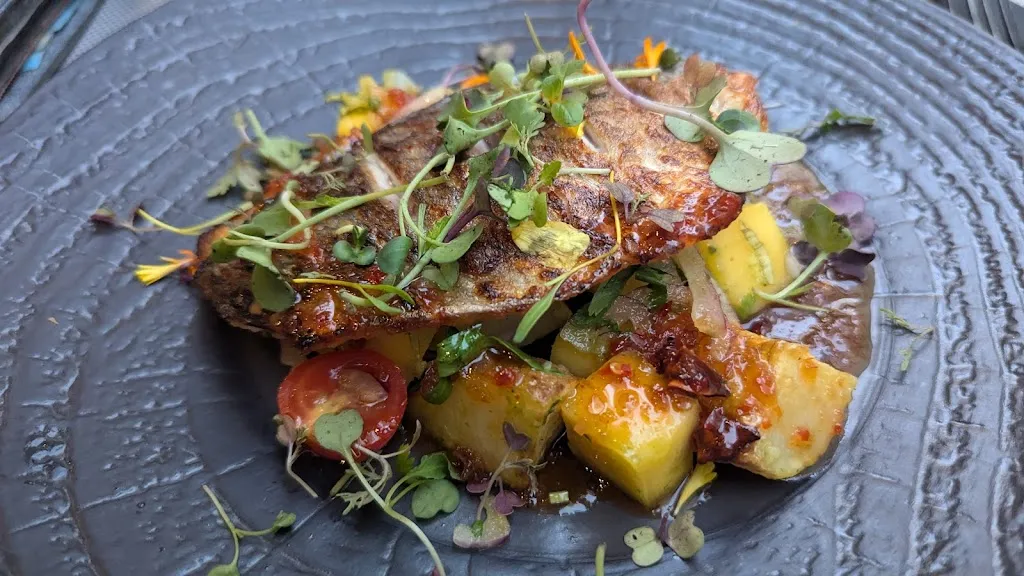 Pietro Dell' Erba_Papalo_Nerja_review