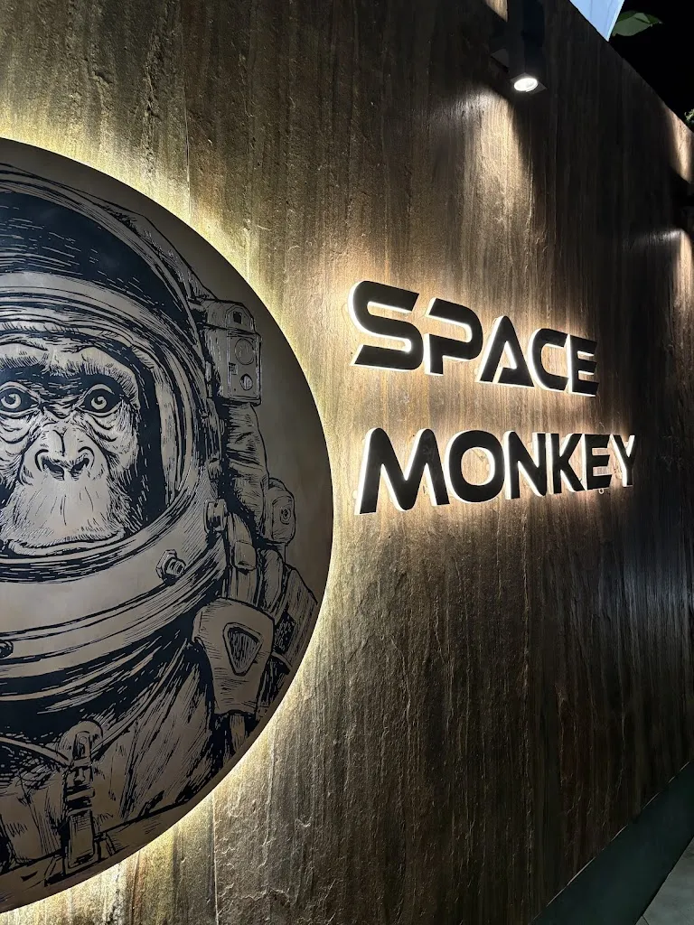 Anton Sova_Rooftop Restaurant in Torremolinos - Space Monkey_Torremolinos_review