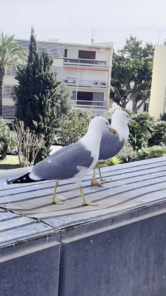 Borja Garcia_El Figón de Montemar by Valle_Torremolinos_review