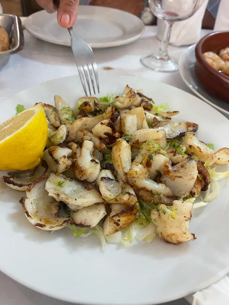 Terraza bar restaurante Tropical Garden restaurant in Albudeite