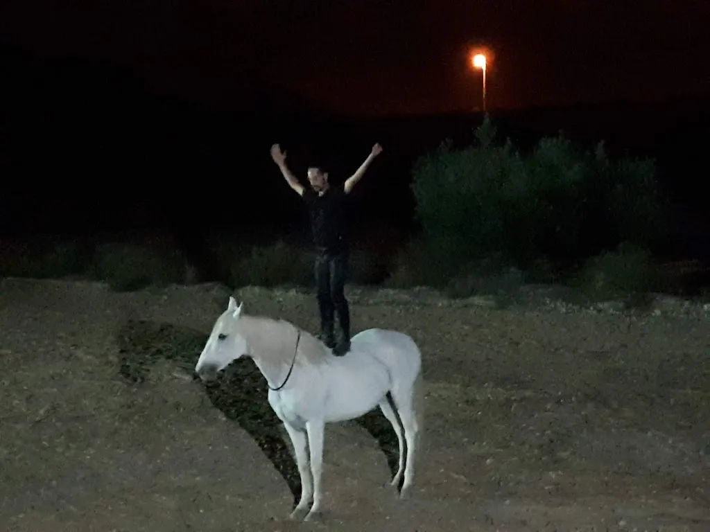 Suzanne Hodgson_La Cueva Del Peregrino_Abanilla_recensione