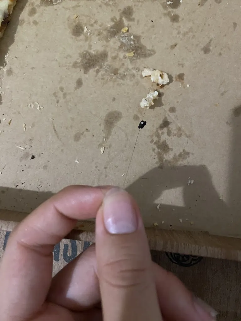 Alejandra Sánchez Cutillas_Sky Ways Pizzeria-Kebab_Abanilla_recensione