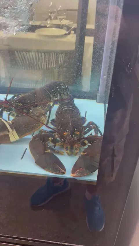 Kim W_Casa Bartolo_Águilas_review