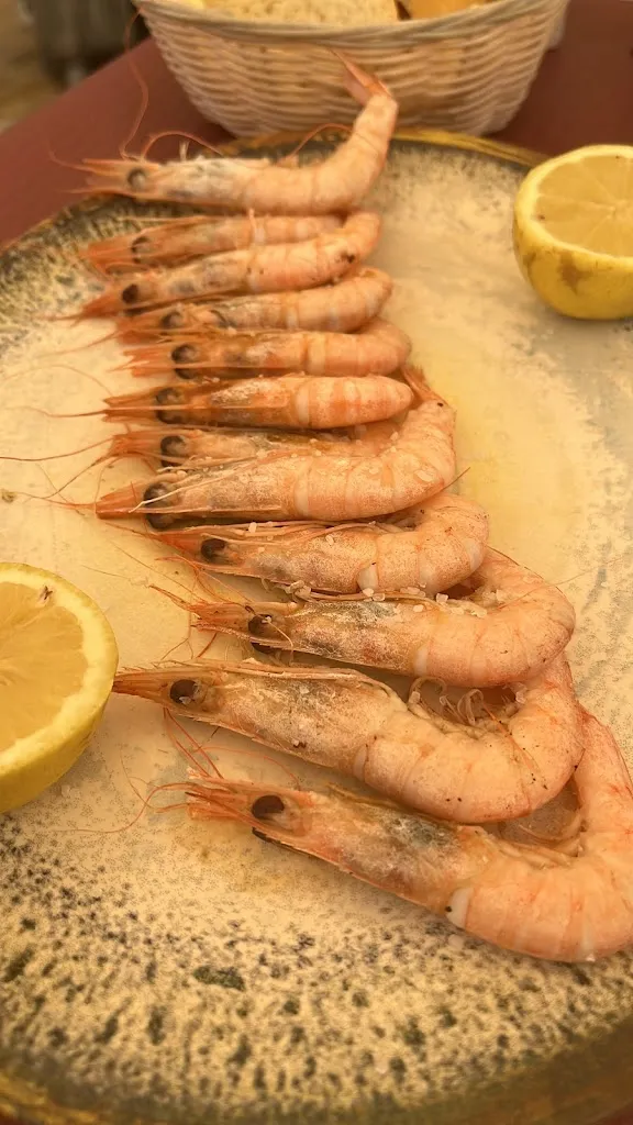 Yasmin Lane_Elbardemanolo_Torrox_review