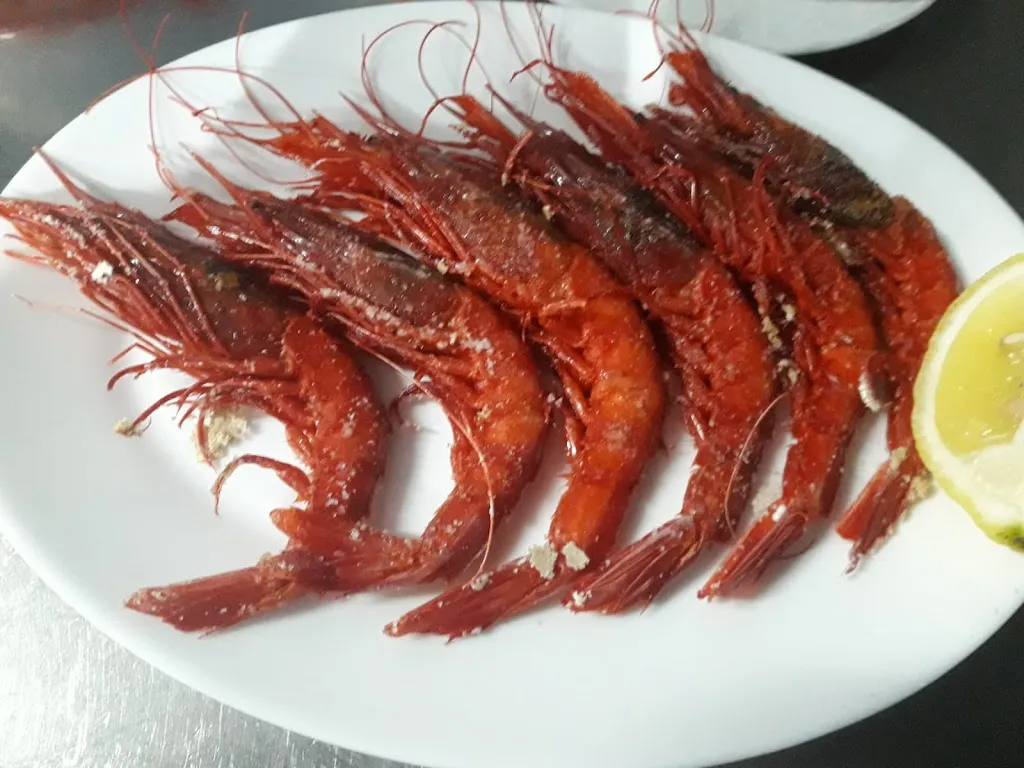 Mibar_Torrox_slider_image_3