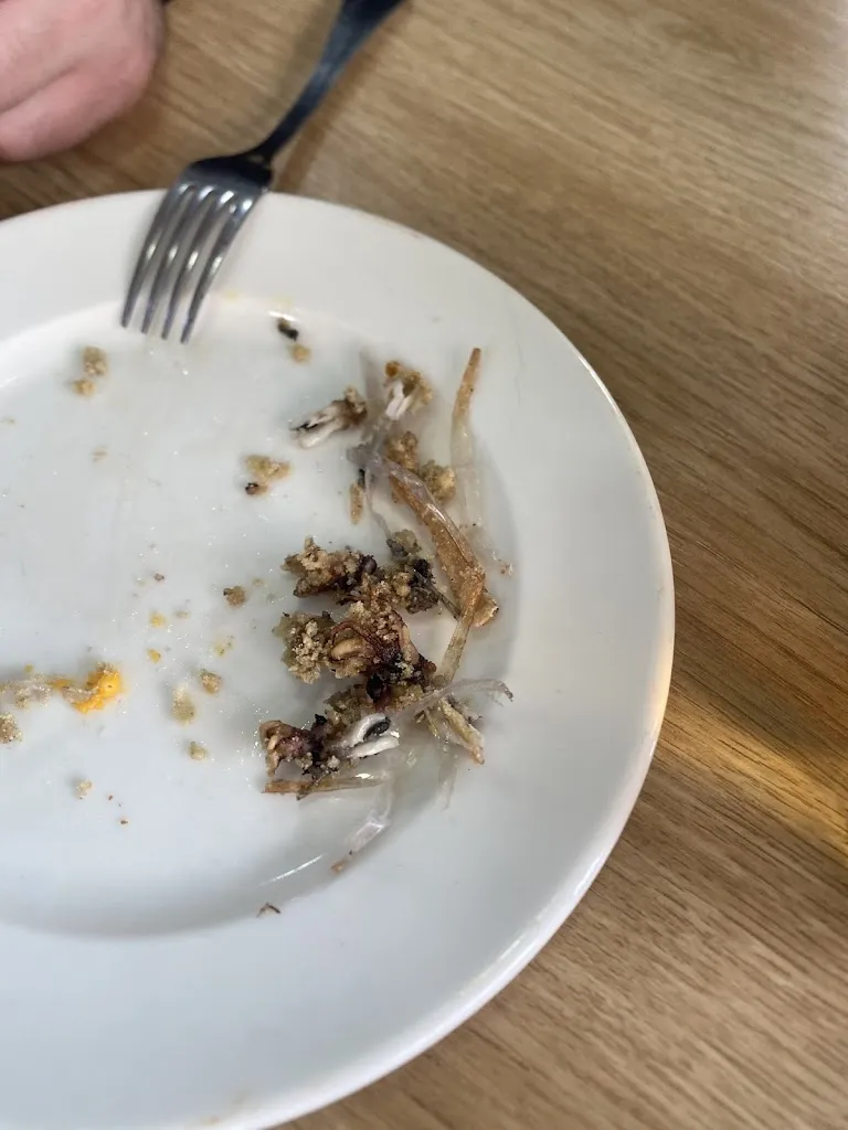 Javier Mora Jaen_Cerveceria El barrio_Petrer_review