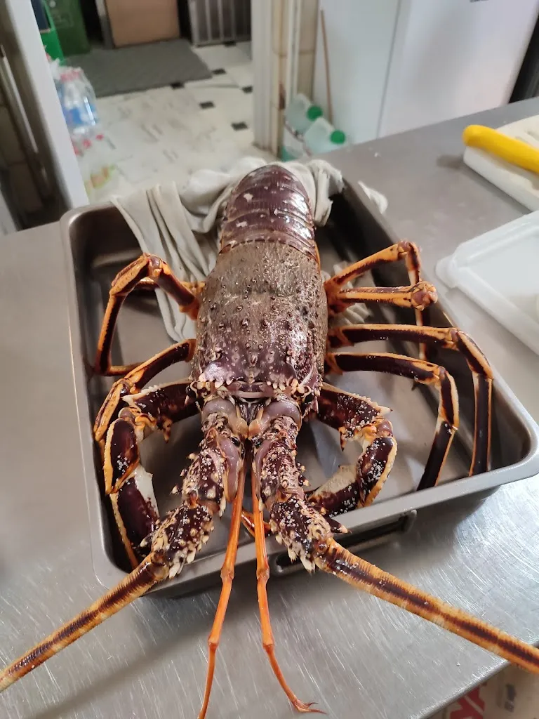 Menu_Restaurante Pepe Rico 2_Torrox_image_9