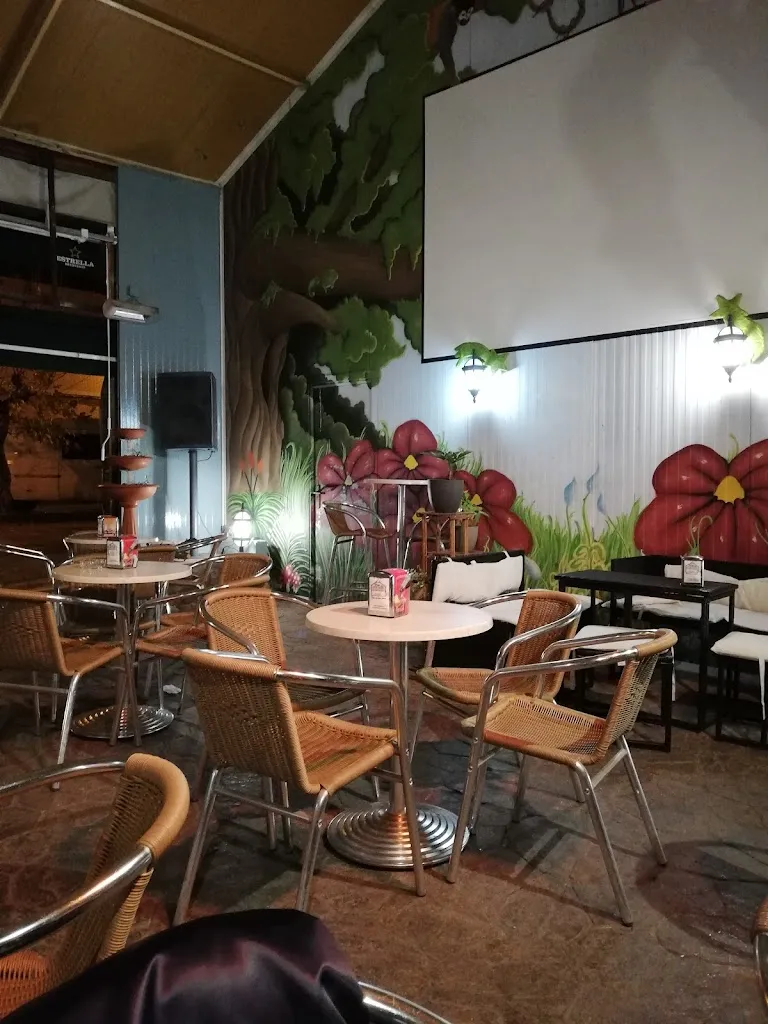 Terraza Jardin Bar 