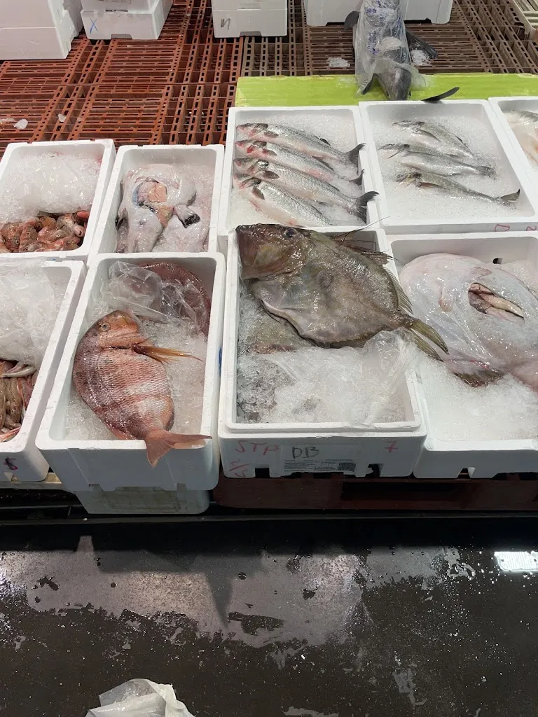 Javier LAFUENTE_Lonja de Alcantarilla_Alcantarilla_recensione