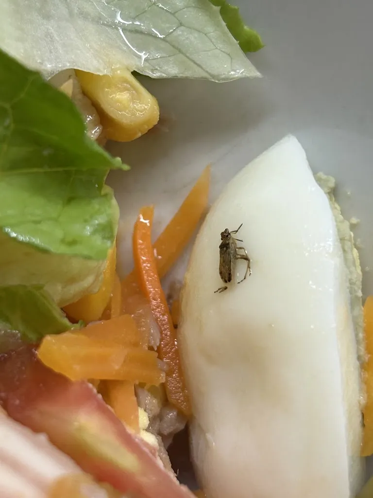 Caro Sanchez_Pizzería La Cosa Nostra_Beniel_review