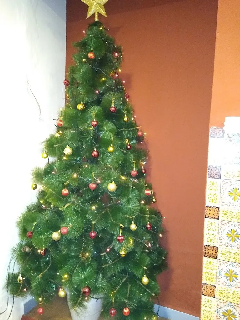 DonnaV W_Restaurante Plaza de España_Bullas_review