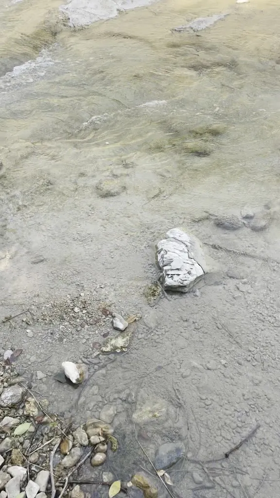 María Rosa Lucas Martínez_Casa Borrego Hotel Gastronómico_Bullas_review