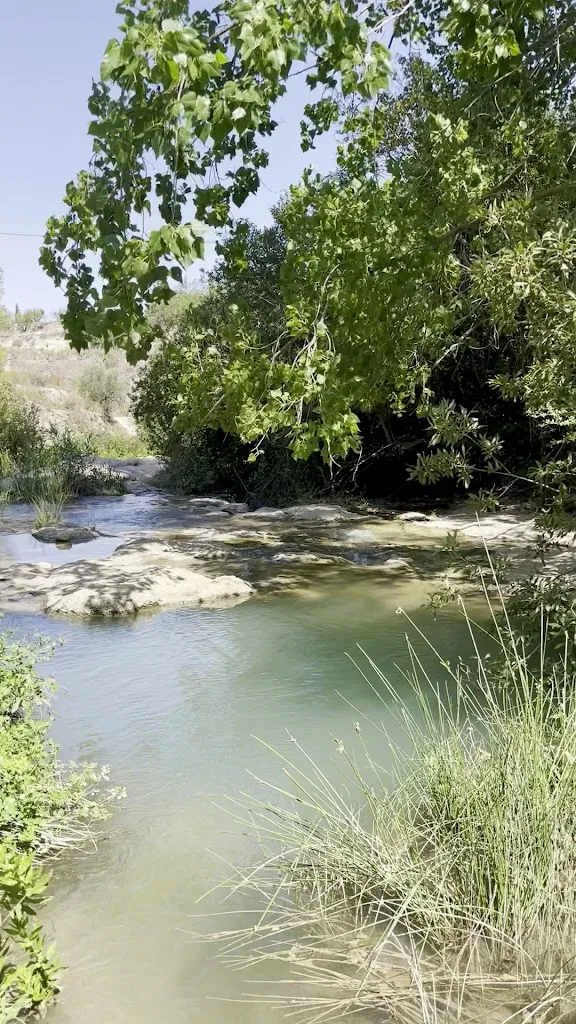 Phoebe D_Salto Del Usero_Bullas_review