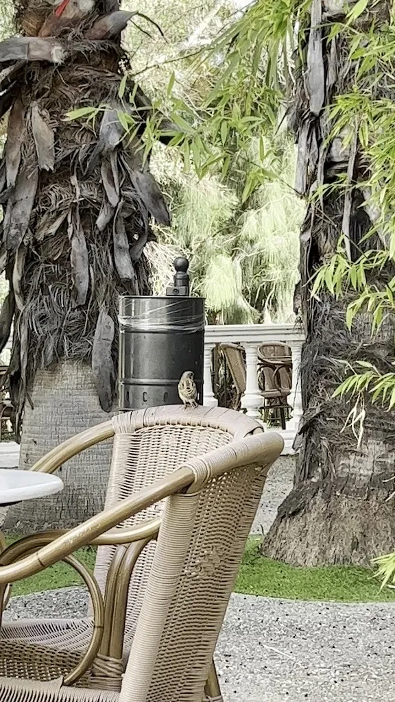 La Terraza de Termalium_Archena_slider_image_2