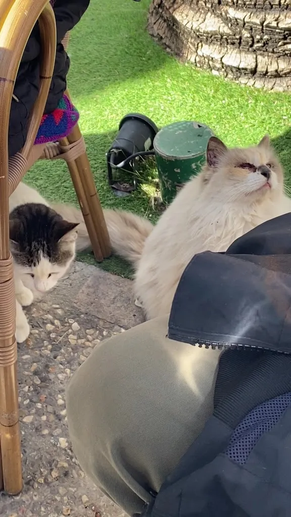 Claudia_Bar Casino - Balneario de Archena_Archena_review