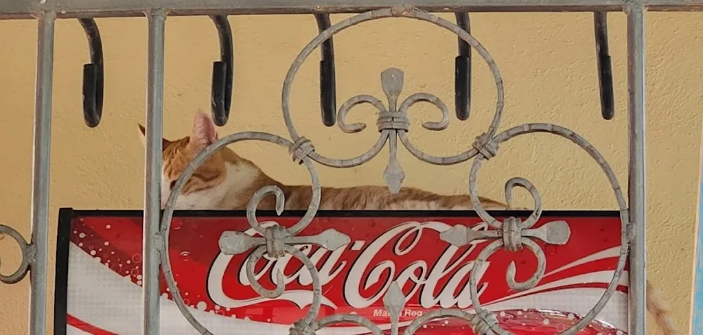 Kim_Hotel, bar, y restaurante, la Mariposa_Alhama de Murcia_review