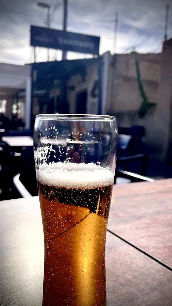 Menu_Restaurante Sanctuary_Pinós el/Pinoso_immagine_8