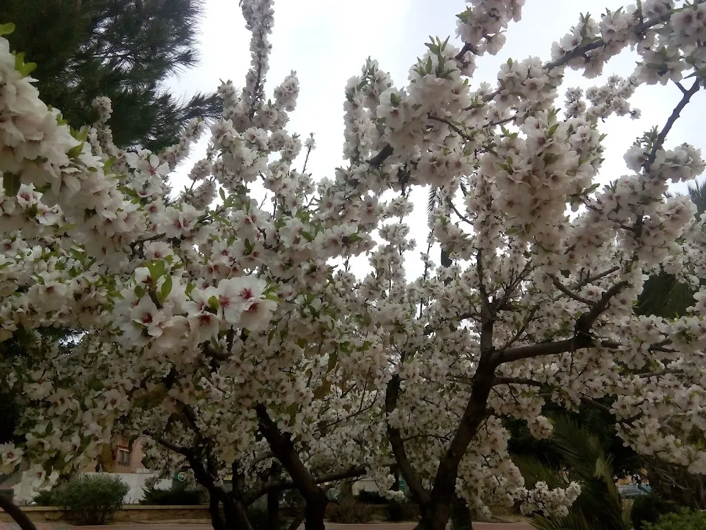 Jardín El Palmeral_Alhama de Murcia_slider_image_2