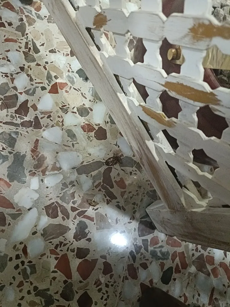 Vanya Ivanova_La Herradura_Caravaca_review