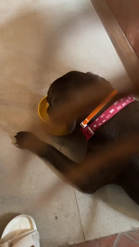 Winfrey Chen_El Union Coffee_La Unión_review