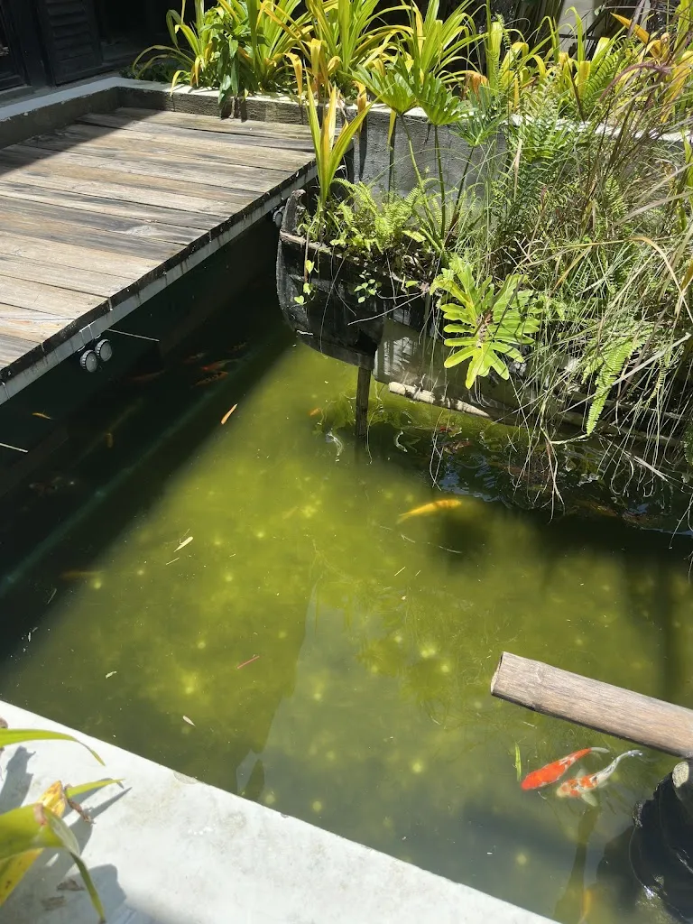 Grace_Nuq Dining and Villas_La Unión_review