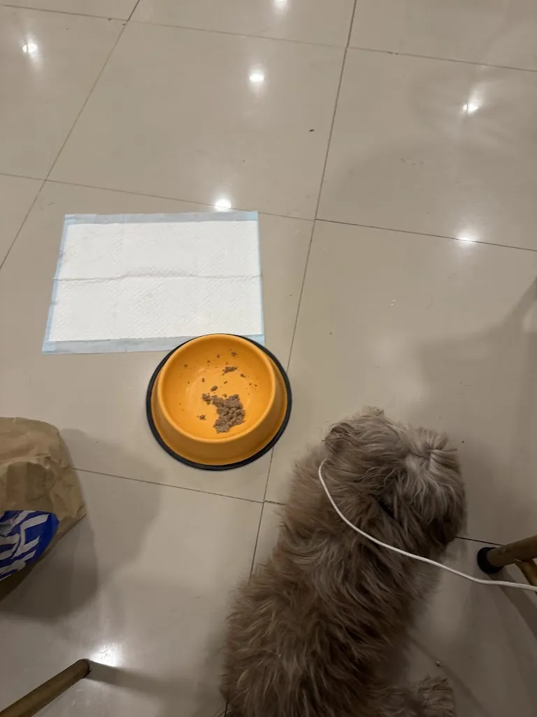 Marie Marketing_Akasia Restaurant La Union_La Unión_review