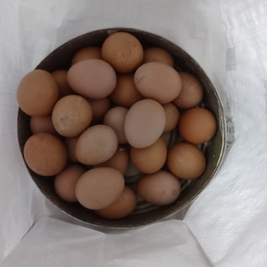 Menu_La barra de oksana_Lorquí_image_3