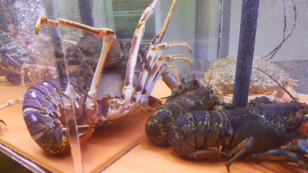 Menu_Restaurante Casa Carreño_Cieza_image_5