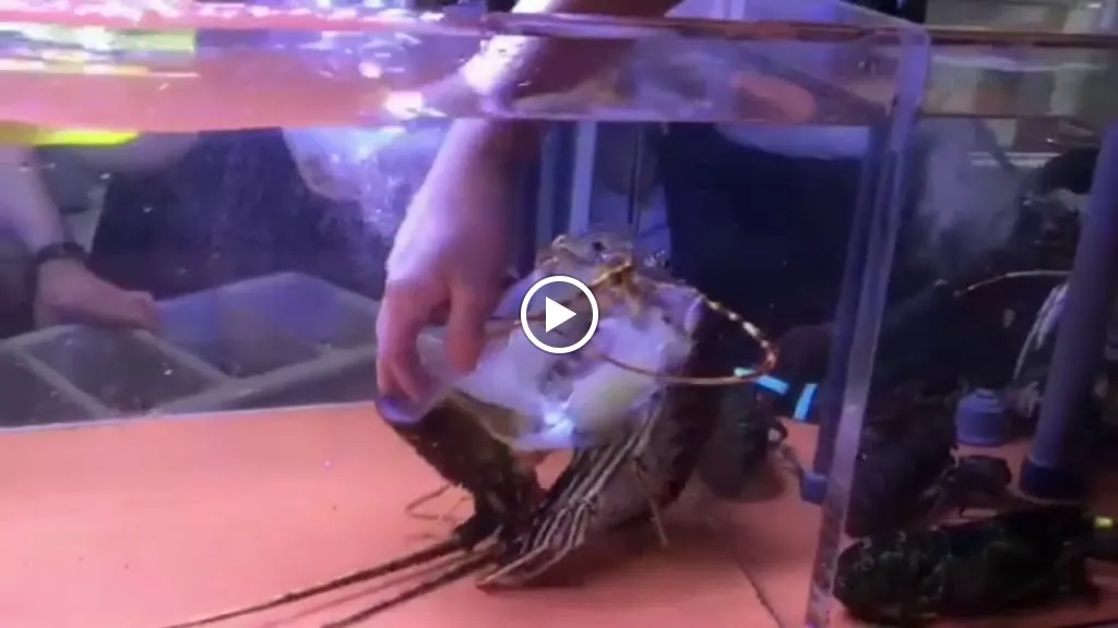 Restaurante Casa Carreño_Cieza_slider_image_2