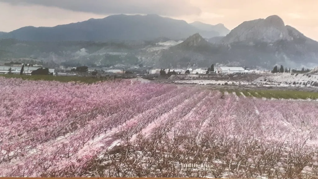 Café Gran Vía_Cieza_slider_image_3