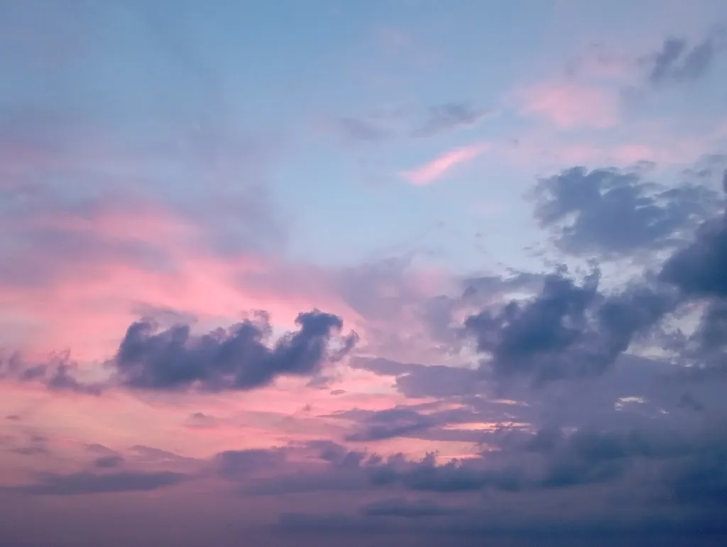 Toni Marotto_Pollería y comidas caseras para llevar EL LEÑO_Cieza_review