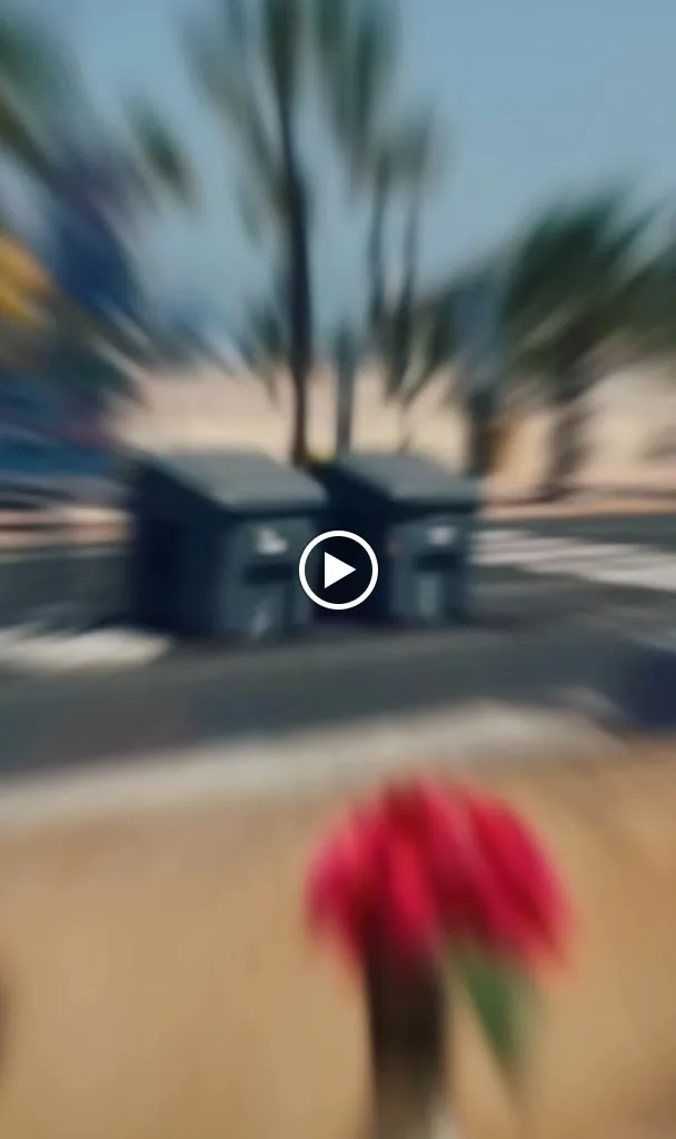 Bombay Tacos Lo Pagan_Lo Pagán_slider_image_2