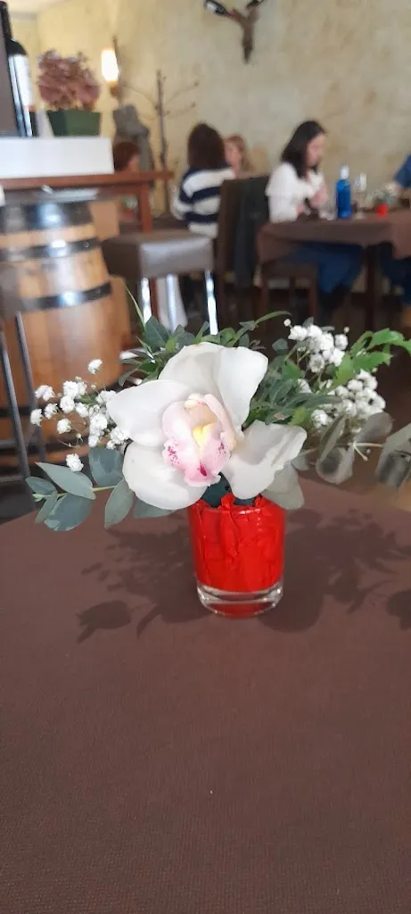 Susan Maxwell_Taberna La Cepa_Lorca_review