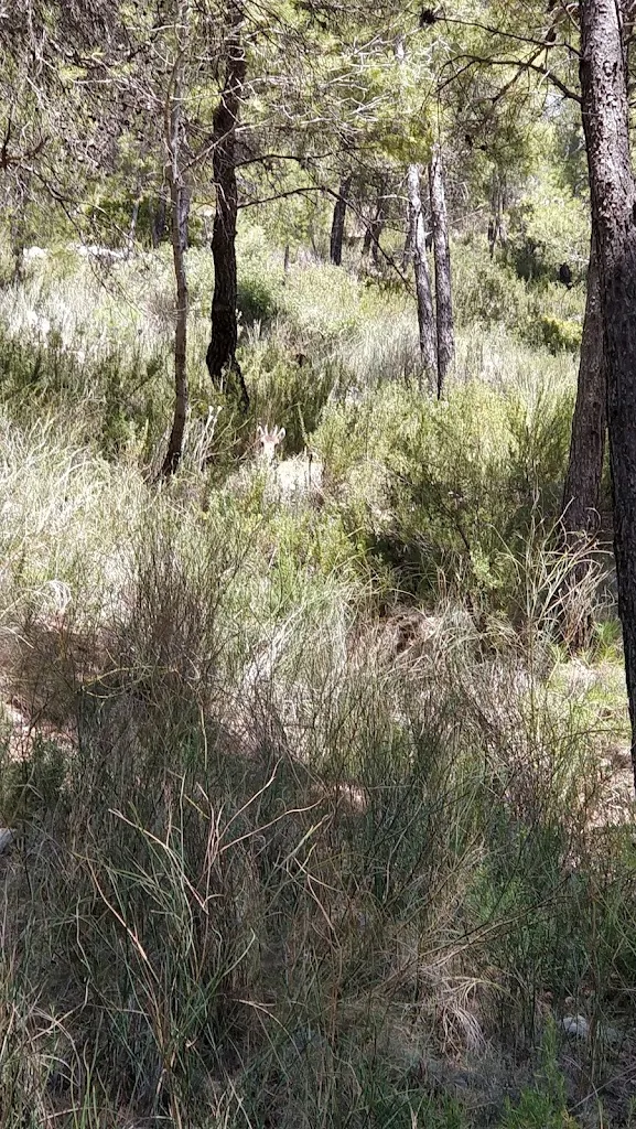 Zak Hipperson_Bar Restaurante Camping La Puerta_Moratalla_review