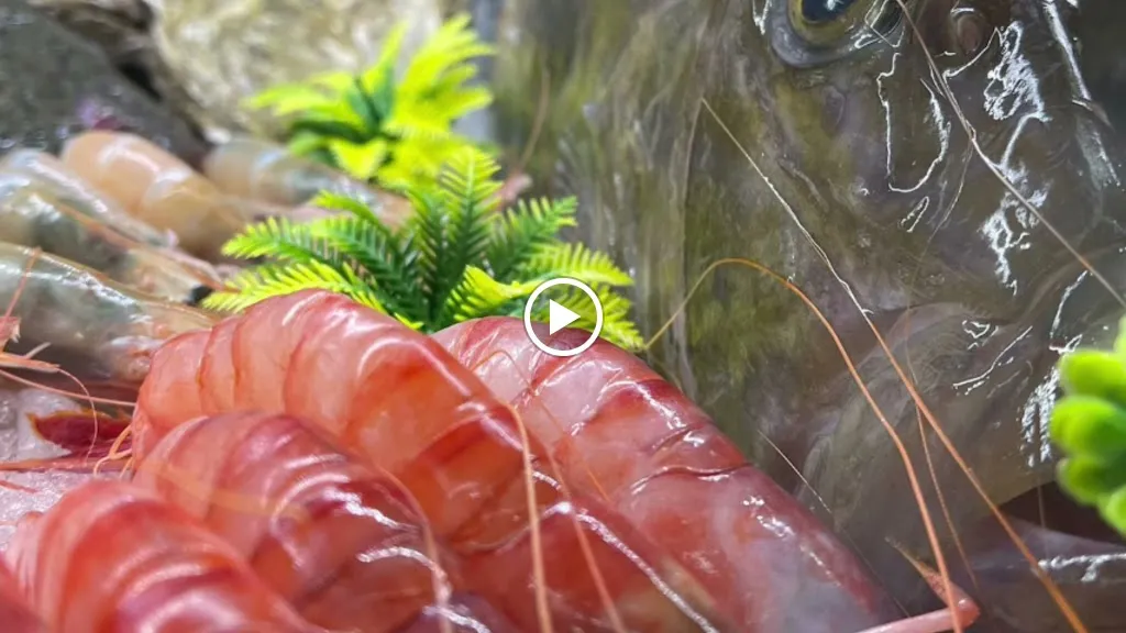 La Chimenea Restaurante_Molina de Segura_slider_image_2