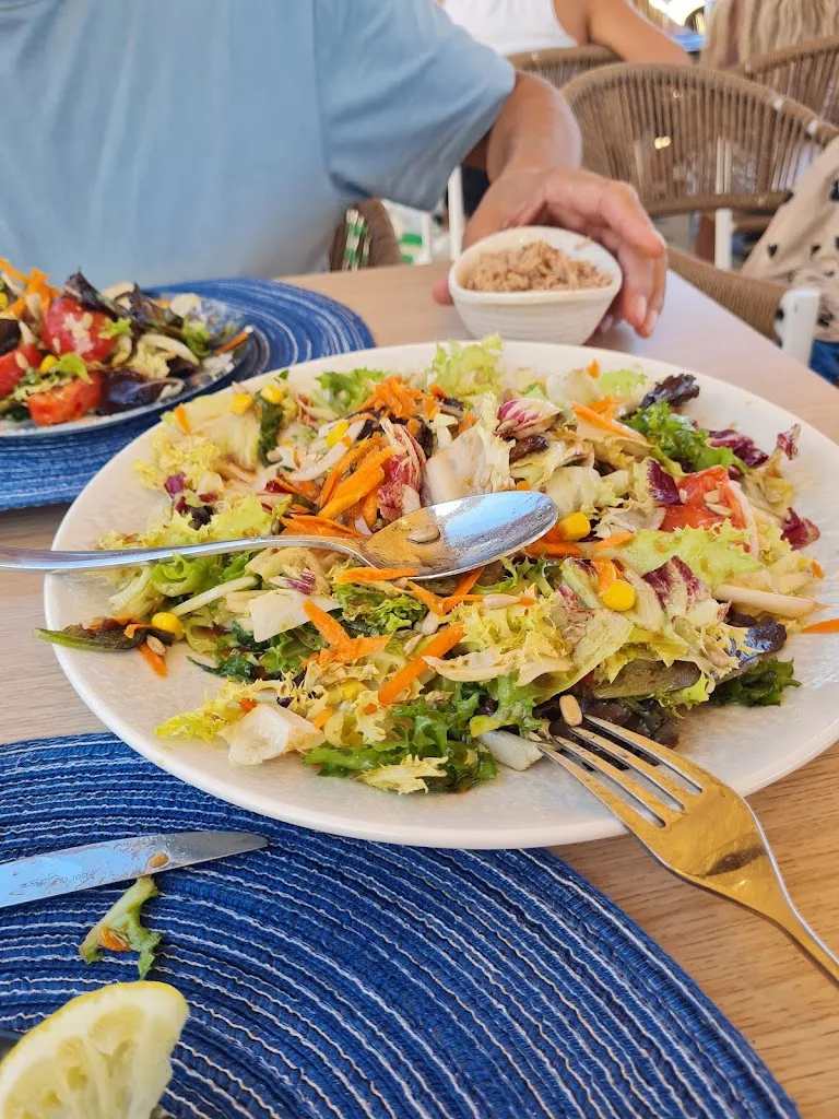 jill webb_BANGALORE PLAYA_Mazarrón_review