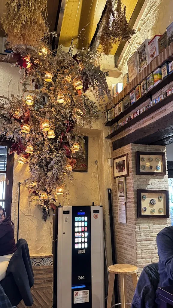 Yana Lovyagina_Torremolinos_Murcia_review