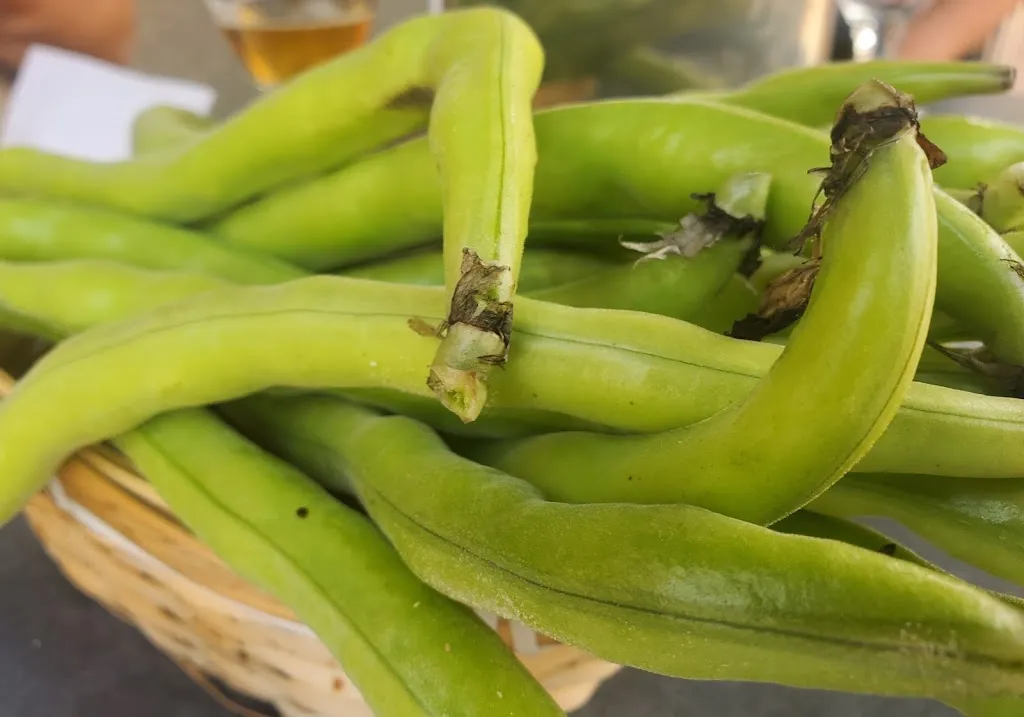 Bar Pensionistas_Villanueva del Río Segura_slider_image_3