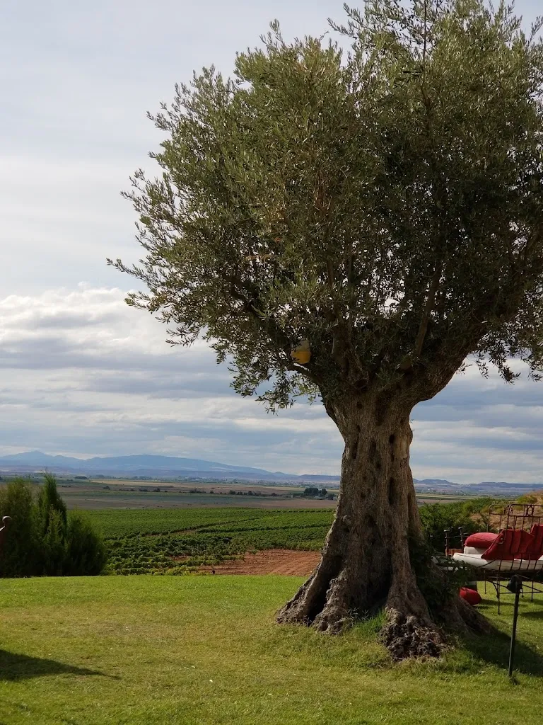 Shahar Klein_PAGO DE CIRSUS. Bodega, Hotel & Restaurante_Ablitas_review