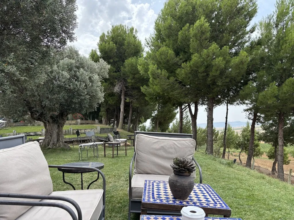 PAGO DE CIRSUS. Bodega, Hotel & Restaurante_Ablitas_slider_image_3