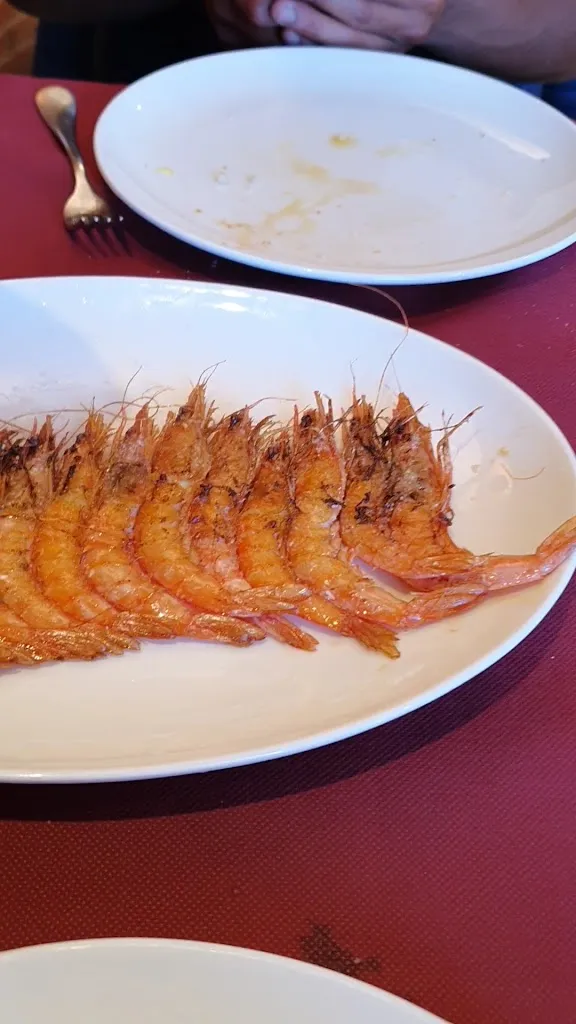 Bar Iribia_Abáigar_slider_image_2