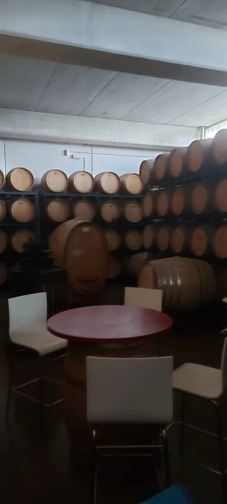 Francesco Costagliola_Aroa Bodegas_Abáigar_recensione