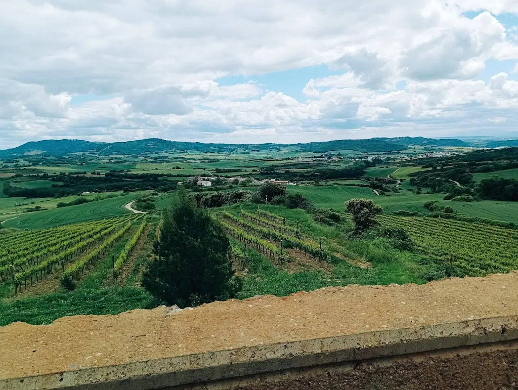 txitxo amarakoa_Aroa Bodegas_Abáigar_recensione